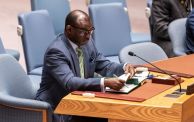 مندوب السودان لدى الأمم المتحدة خلال جلسة لمجلس الأمن الدولي