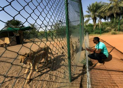 حديقة حيوانات السودان