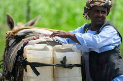 تنقل العربات التقليدية (الكارو) المياه للأحياء مقابل مبالغ من المال (فيسبوك)