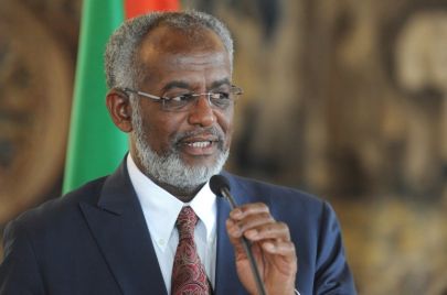 الأمين العام المكلف للحركة الإسلامية السودانية علي احمد كرتي